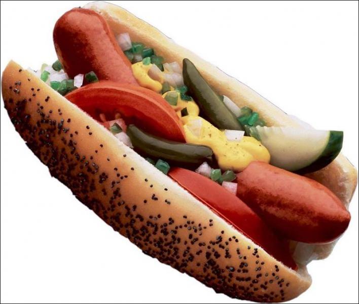 hot dog designs