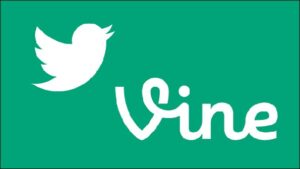 vine ecommerce video marketing