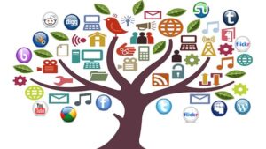 social media management tools