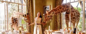 influencer marketing giraffe