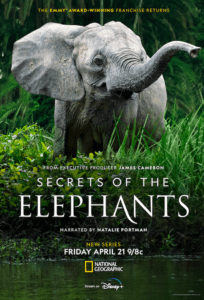 National Geographic: Secrets of the Elephants